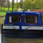 The Wessex Rose