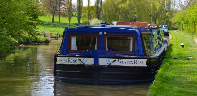 The Wessex Rose