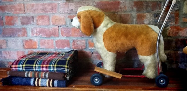 Victorian Dog Grooming Parlour And My Amazing (Spaces) Dog On Wheels